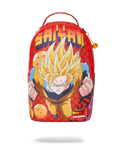 DBZ SUPER SAIYAN CHECK